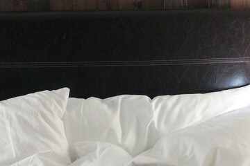 Pet Friendly 72 of 77