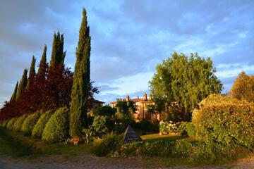 Photo 28