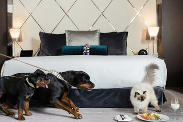 Pet-friendly
