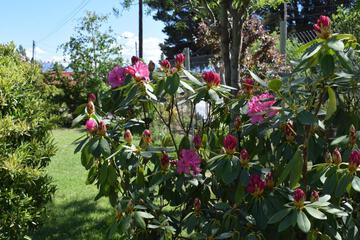 Photo 26