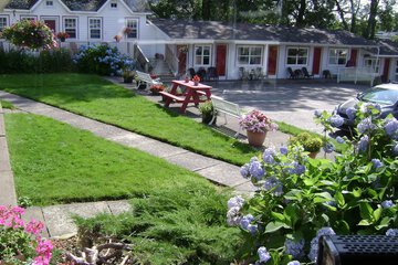 BBQ/picnic area