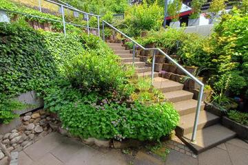 Photo 36