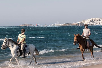 Horseback riding