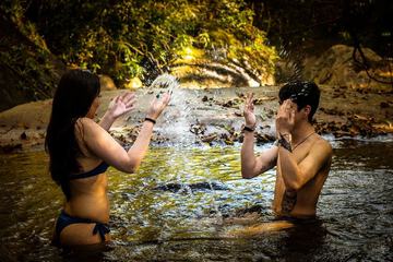 Natural pool