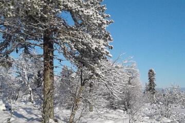 Photo 30