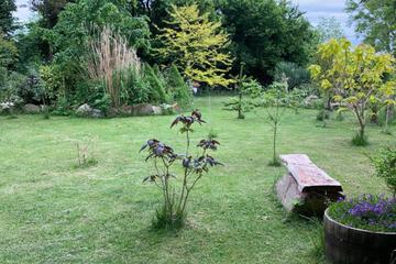 Photo 32