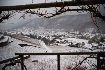 Land view from property