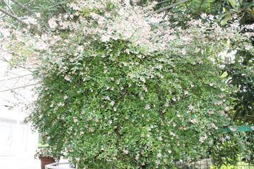 Photo 34