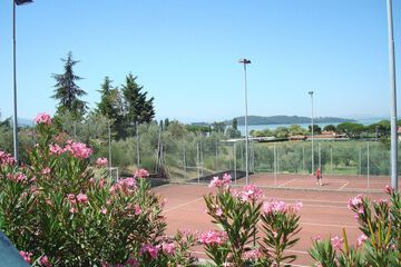 Tennis court