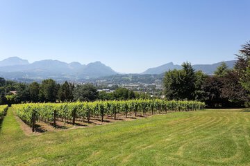 Land view from property