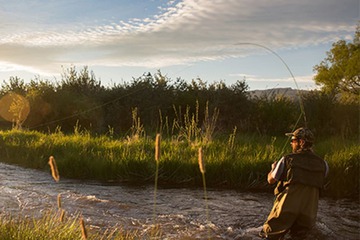 Fishing