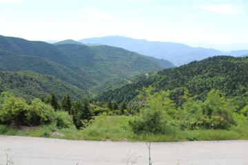 Photo 44