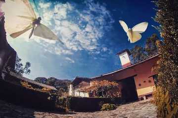 Courtyard view