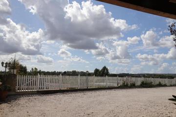 Photo 50