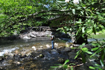 Outdoor Activities 100 of 100