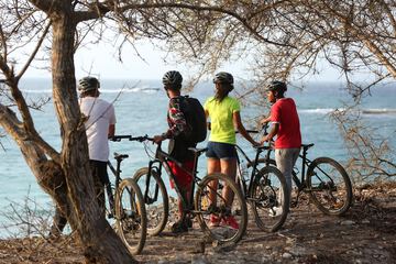 Bicycling