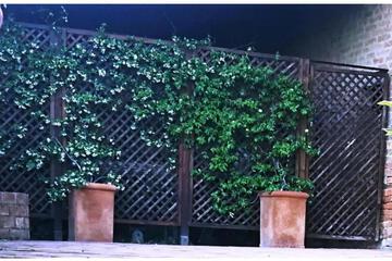 Photo 49