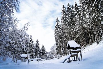 Skiing