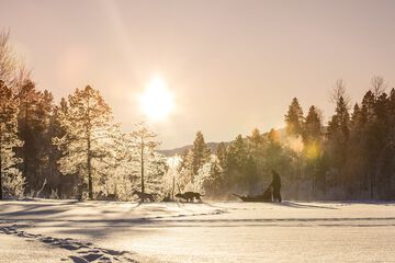 Sledding