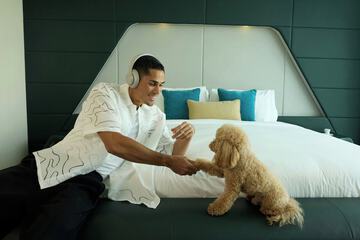 Pet-friendly
