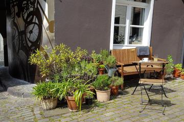 Photo 31