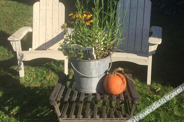 Hotel Interior or Public Areas