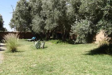 Photo 71