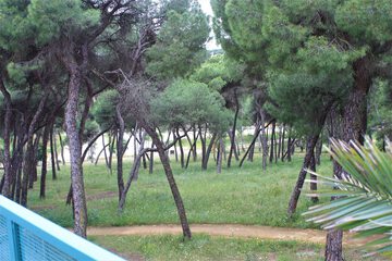 Park view