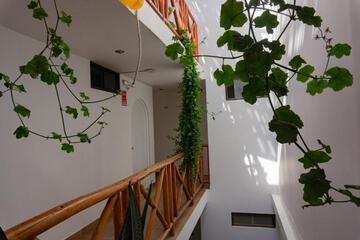 Photo 37