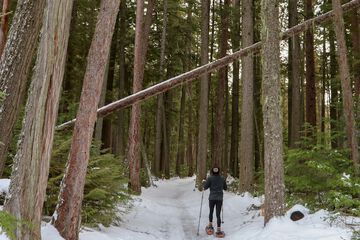 Snowshoeing