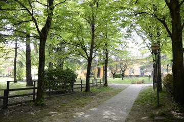 Property grounds