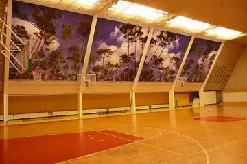 Sport court