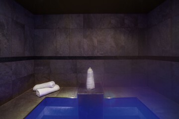 Steam room