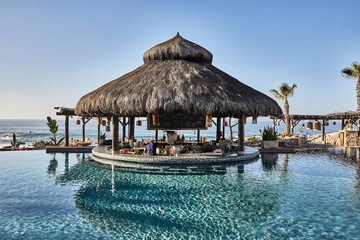 Swim-up bar
