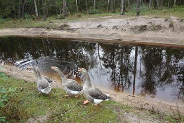 Photo 24