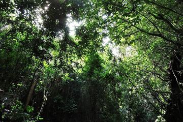 Ecotours