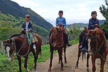 Horseback riding