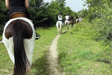 Horseback riding