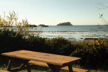 BBQ/picnic area