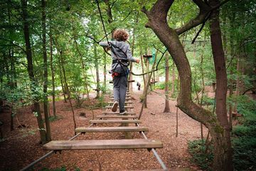 Ropes course (team building)