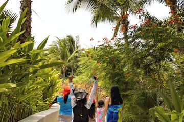 Children's activities