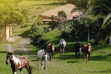 Land view from property