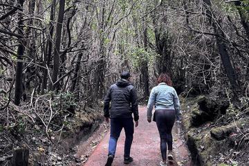 Ecotours