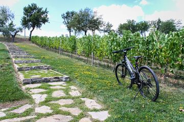 Bicycling
