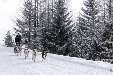 Sledding