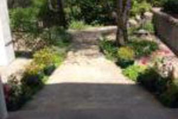 Photo 44