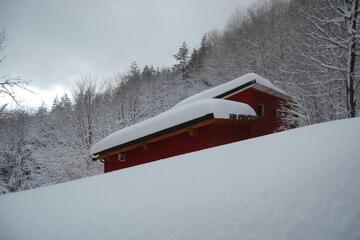 Photo 31