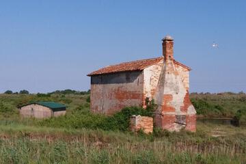 Photo 34
