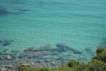 Photo 42