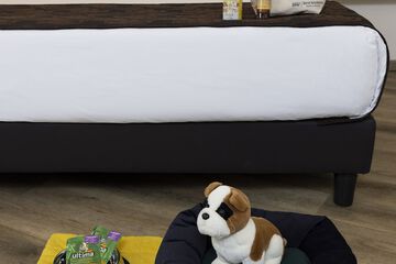 Pet-friendly amenities